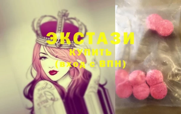индика Кинешма