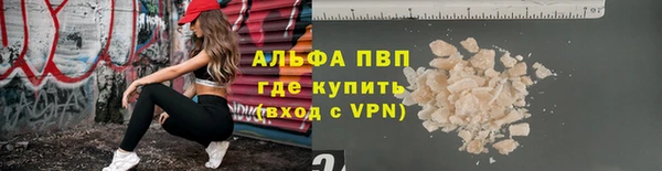 индика Кинешма