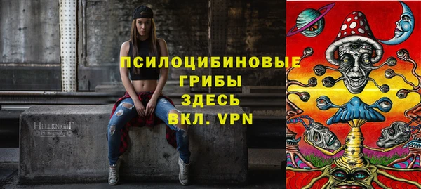 дурь Щёлкино