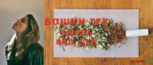 индика Кинешма