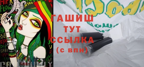 индика Кинешма
