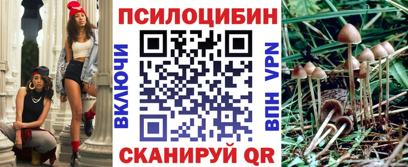 Купить  Сосновка  Галлюциногенные грибы GOLDEN TEACHER 